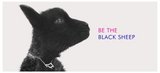 be the black sheep Julie Lamb Be EWE collection cover