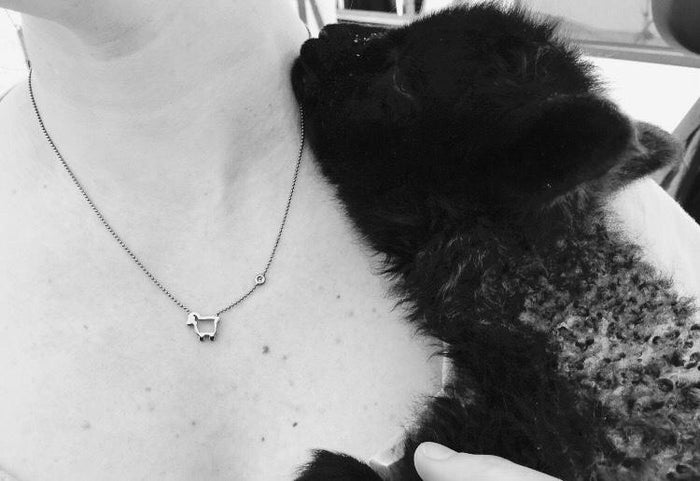 Sterling Silver Black Sheep Necklace with Single Diamond