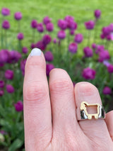 Close up of  18K lamb logo and sterling wide band ring